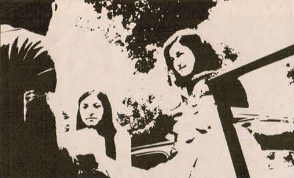 File:Collection of summer teaching project images 1974-1.png