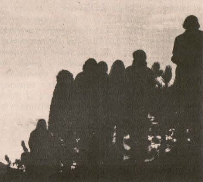 File:News Briefs silhouettes.png