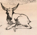 Thumbnail for version as of 19:51, 22 September 2026