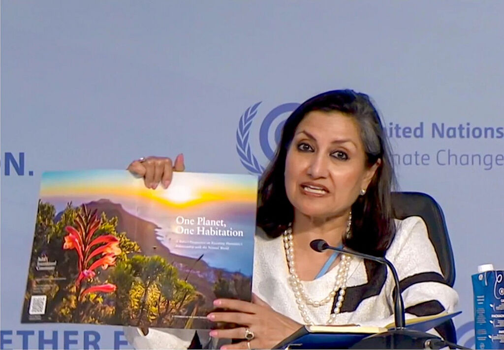 File:Bahai International Community delegation COP27-2.jpg