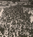 Thumbnail for version as of 19:45, 16 September 2026