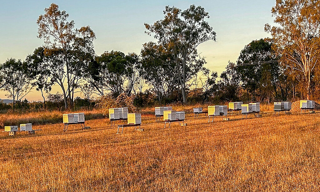 File:Beekeeping demonstration introduces participants-2.jpg