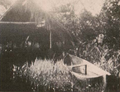 Thumbnail for version as of 20:36, 26 October 2026